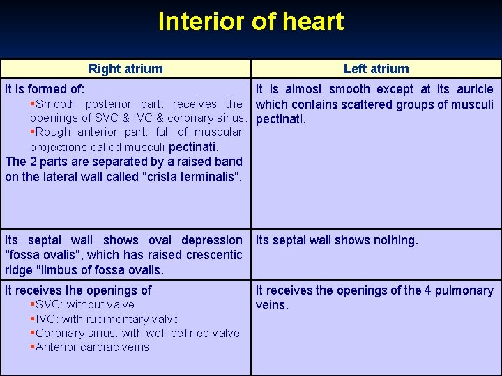 Interior of heart Right atrium Left atrium It is formed of: Smooth posterior part: