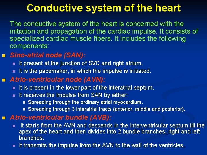 Conductive system of the heart n The conductive system of the heart is concerned