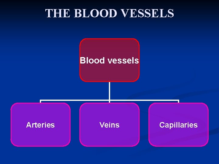 THE BLOOD VESSELS Blood vessels Arteries Veins Capillaries 