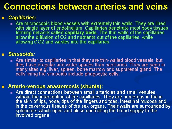 Connections between arteries and veins n Capillaries: n n Sinusoids: n n Are microscopic