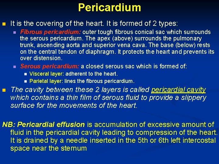 Pericardium n It is the covering of the heart. It is formed of 2