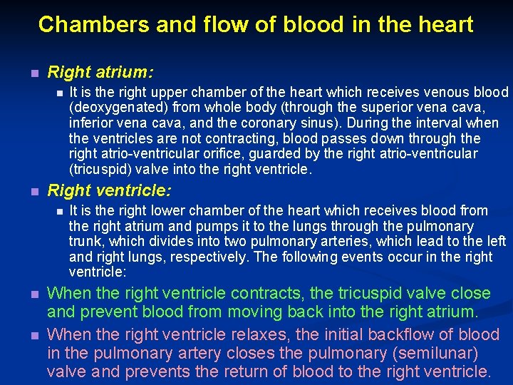 Chambers and flow of blood in the heart n Right atrium: n n Right