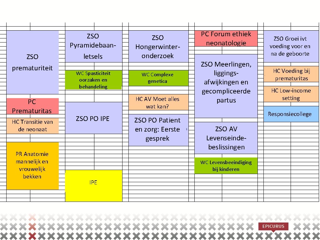 ZSO Pyramidebaan. ZSO prematuriteit PC Prematuritas HC Transitie van de neonaat PR Anatomie mannelijk