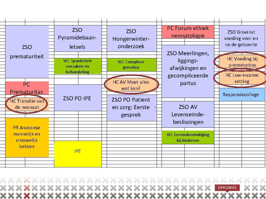 ZSO Pyramidebaan. ZSO prematuriteit PC Prematuritas HC Transitie van de neonaat PR Anatomie mannelijk