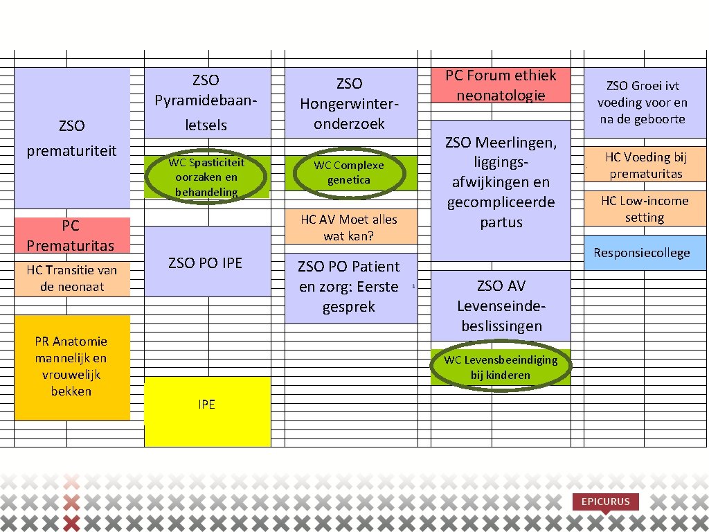 ZSO Pyramidebaan. ZSO prematuriteit PC Prematuritas HC Transitie van de neonaat PR Anatomie mannelijk