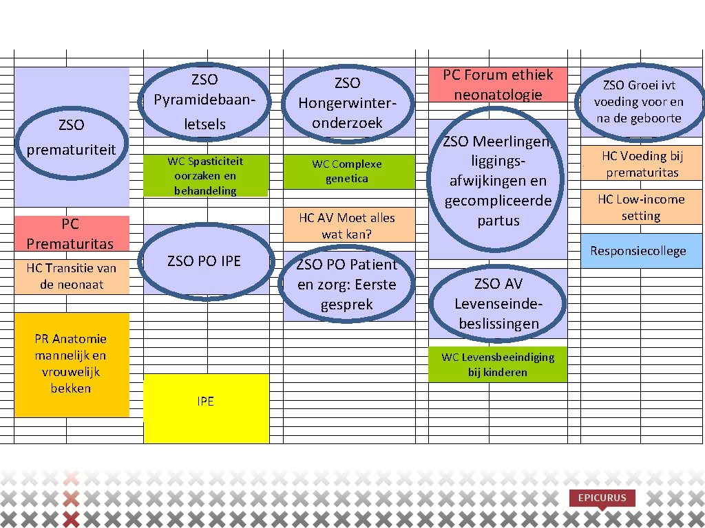 ZSO Pyramidebaan. ZSO prematuriteit PC Prematuritas HC Transitie van de neonaat PR Anatomie mannelijk