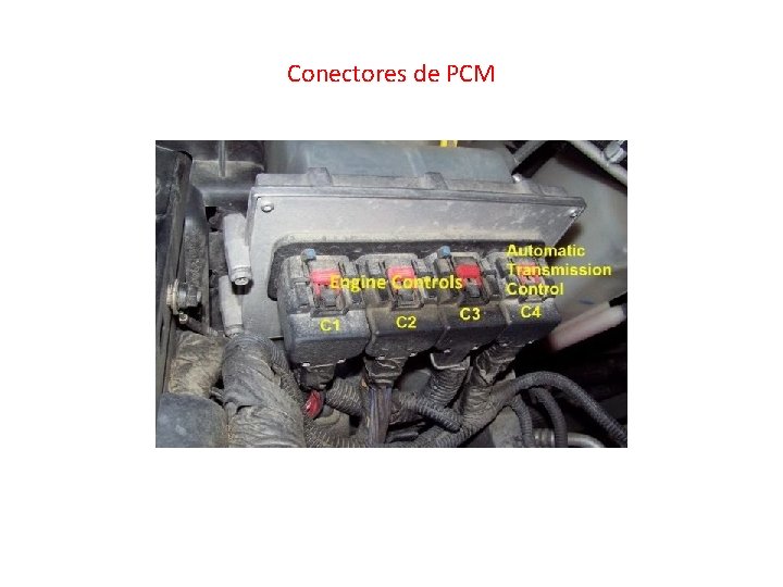 Conectores de PCM 