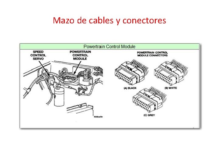 Mazo de cables y conectores 