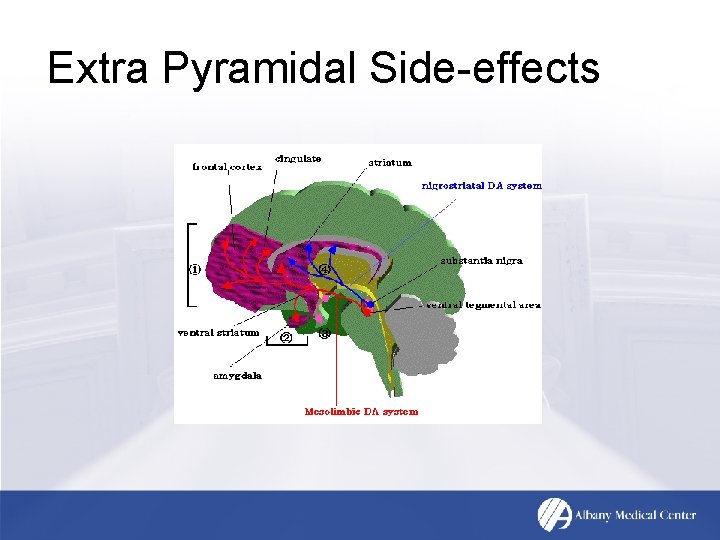Extra Pyramidal Side-effects 