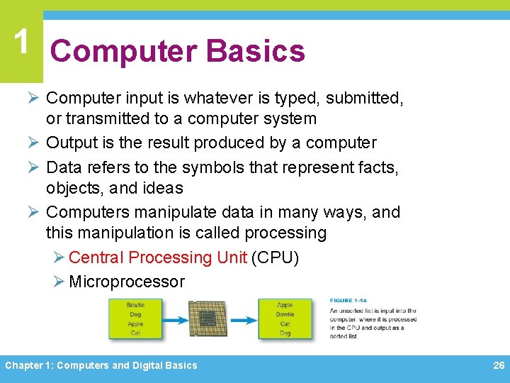 1 Computer Basics Ø Computer input is whatever is typed, submitted, or transmitted to