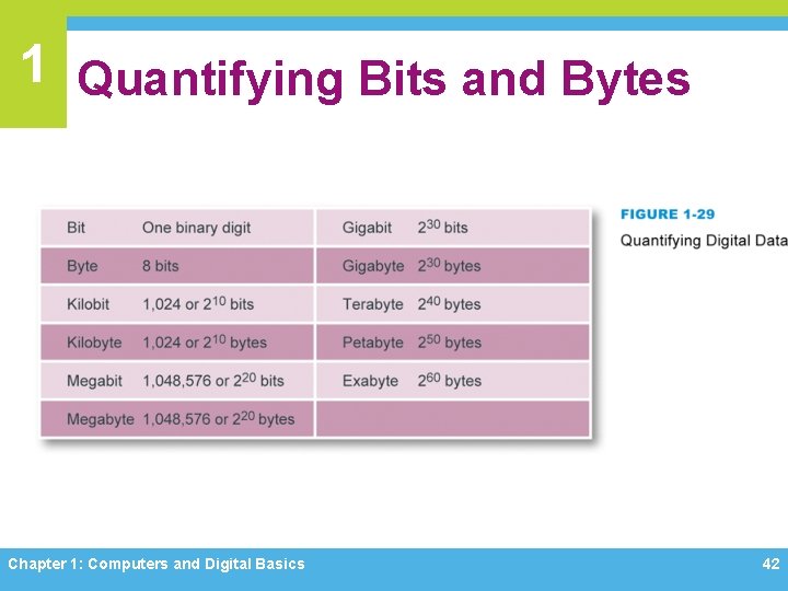 1 Quantifying Bits and Bytes Chapter 1: Computers and Digital Basics 42 