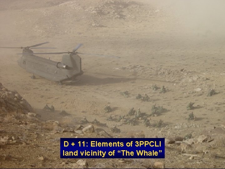 D + 11: Elements of 3 PPCLI land vicinity of “The Whale” 