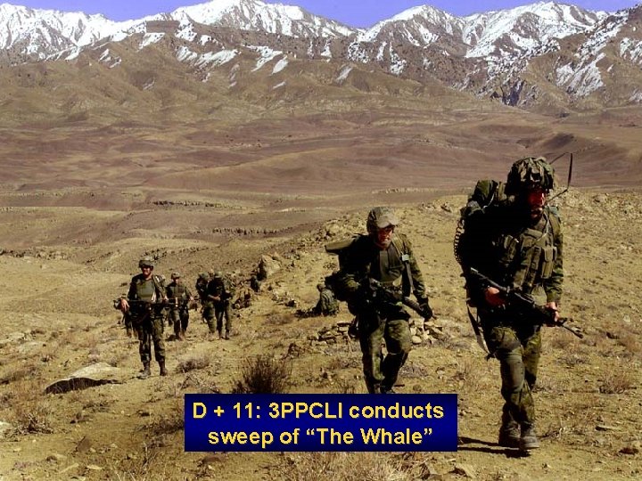 D + 11: 3 PPCLI conducts sweep of “The Whale” 
