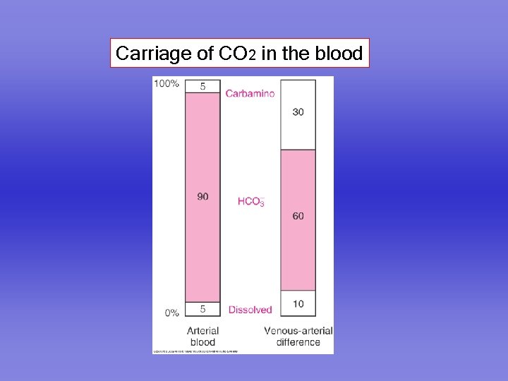 Carriage of CO 2 in the blood 