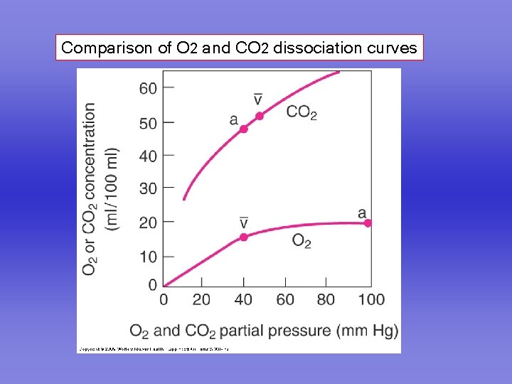 Comparison of O 2 and CO 2 dissociation curves 