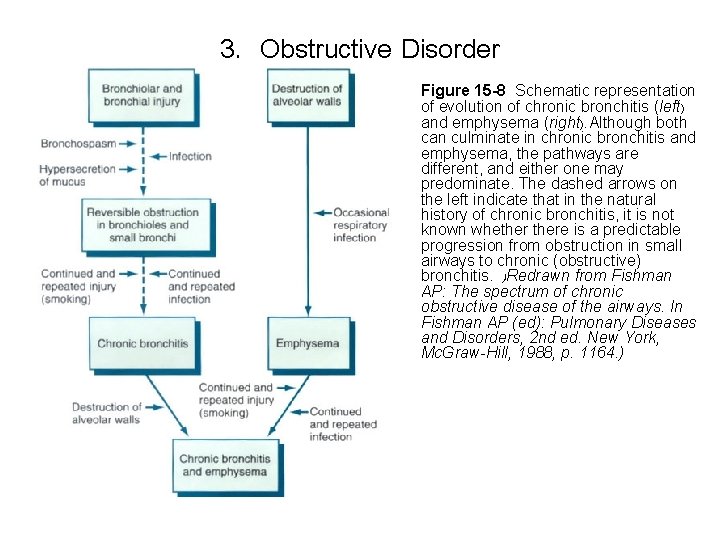 3. Obstructive Disorder Figure 15 -8 Schematic representation of evolution of chronic bronchitis (left)