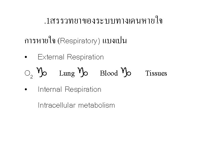 . 1สรรวทยาของระบบทางเดนหายใจ การหายใจ (Respiratory) แบงเปน • External Respiration O 2 g Lung g Blood