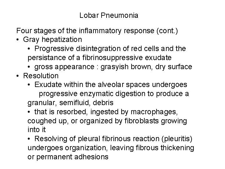 Lobar Pneumonia Four stages of the inflammatory response (cont. ) • Gray hepatization •