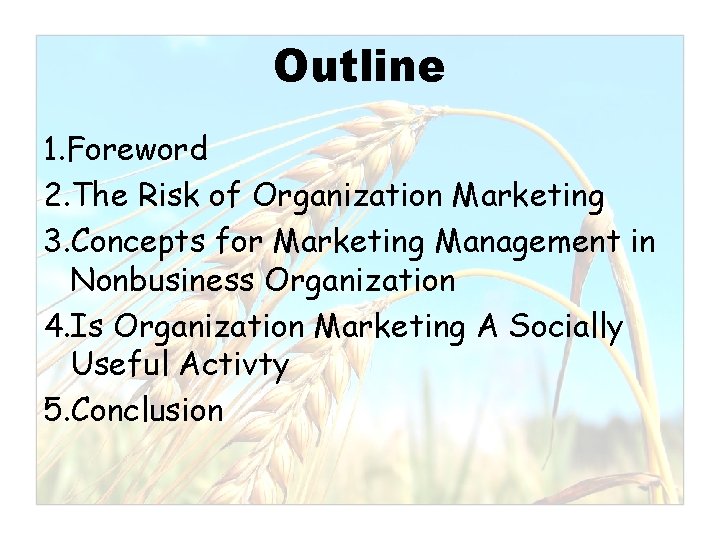 Outline 1. Foreword 2. The Risk of Organization Marketing 3. Concepts for Marketing Management