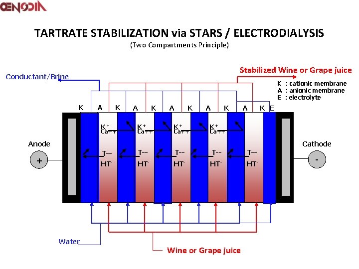 TARTRATE STABILIZATION via STARS / ELECTRODIALYSIS (Two Compartments Principle) Stabilized Wine or Grape juice