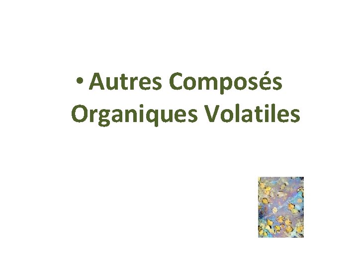  • Autres Composés Organiques Volatiles 