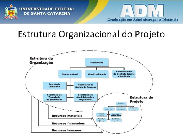 Estrutura Organizacional do Projeto 65 