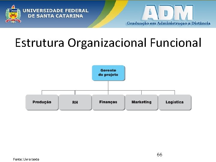 Estrutura Organizacional Funcional Fonte: Livro texto 66 