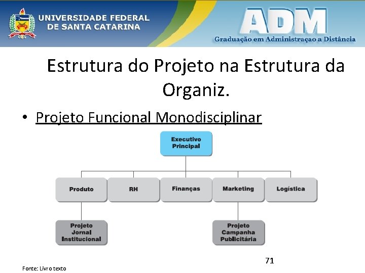 Estrutura do Projeto na Estrutura da Organiz. • Projeto Funcional Monodisciplinar Fonte: Livro texto