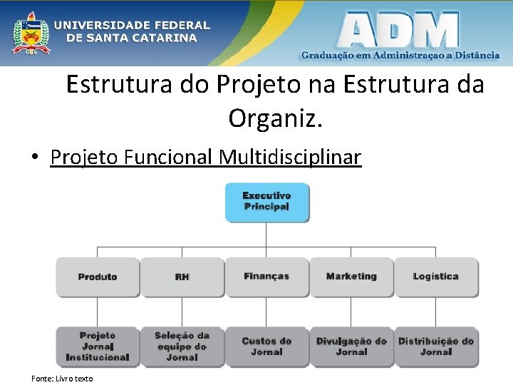 Estrutura do Projeto na Estrutura da Organiz. • Projeto Funcional Multidisciplinar Fonte: Livro texto