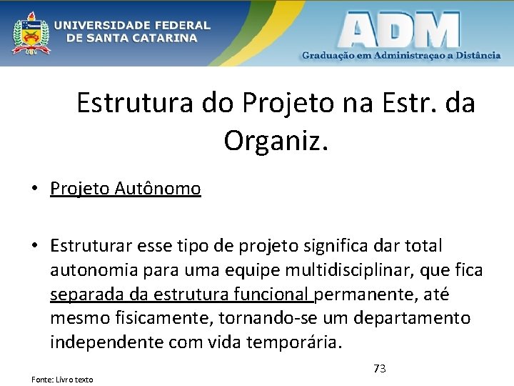 Estrutura do Projeto na Estr. da Organiz. • Projeto Autônomo • Estruturar esse tipo