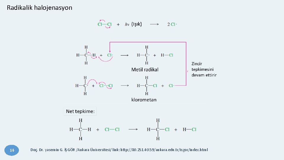 Radikalik halojenasyon 14 Doç. Dr. yasemin G. İŞGÖR /Ankara Üniversitesi/ link: http: //80. 251.