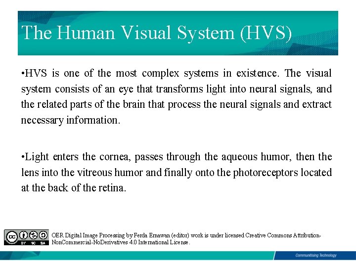 The Human Visual System (HVS) • HVS is one of the most complex systems