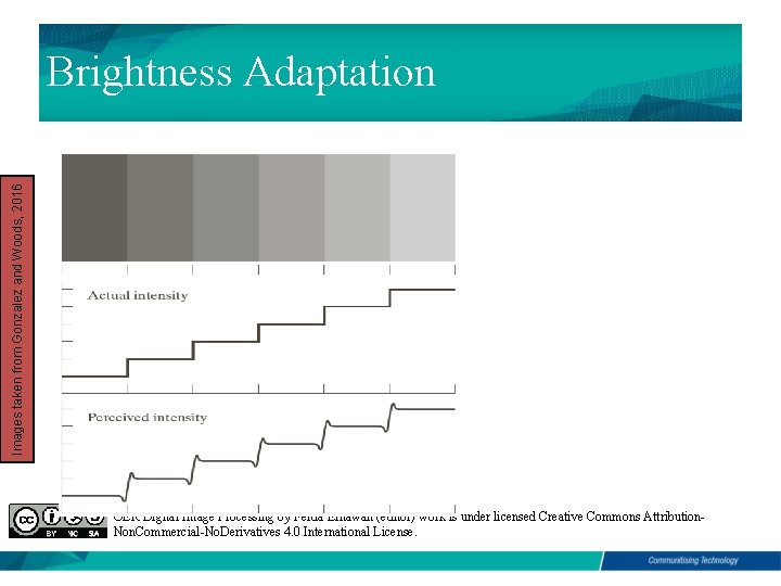 Images taken from Gonzalez and Woods, 2016 Brightness Adaptation OER Digital Image Processing by