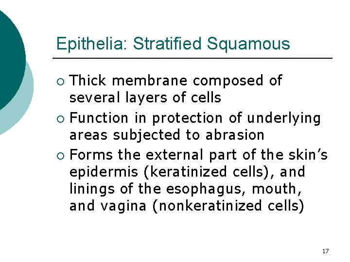 Epithelia: Stratified Squamous Thick membrane composed of several layers of cells ¡ Function in