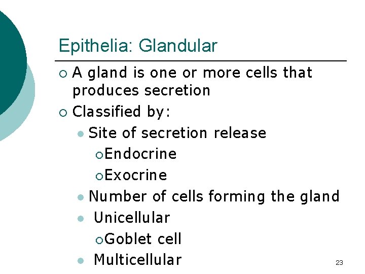 Epithelia: Glandular A gland is one or more cells that produces secretion ¡ Classified