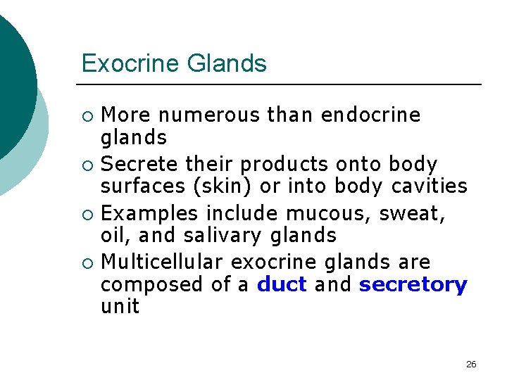 Exocrine Glands More numerous than endocrine glands ¡ Secrete their products onto body surfaces