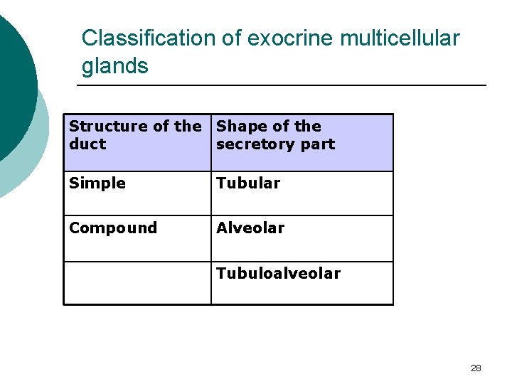 Classification of exocrine multicellular glands Structure of the Shape of the duct secretory part