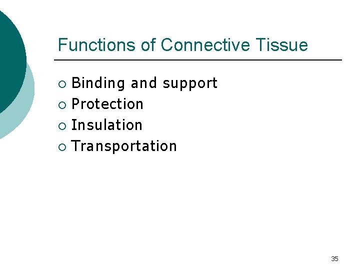 Functions of Connective Tissue Binding and support ¡ Protection ¡ Insulation ¡ Transportation ¡