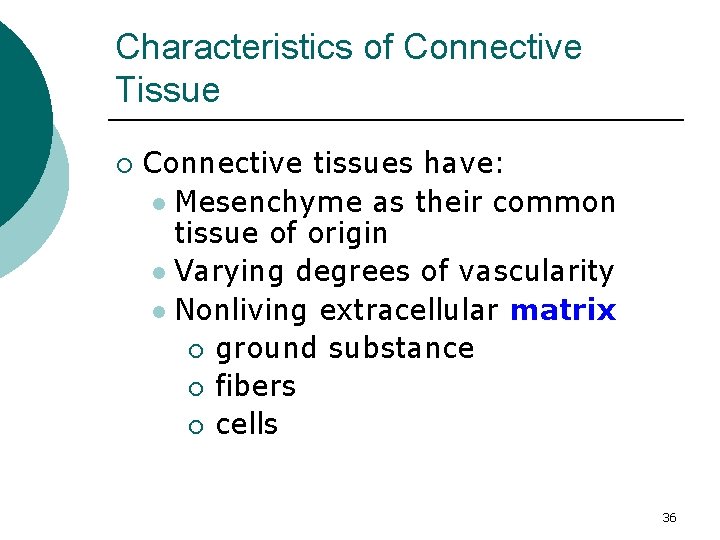 Characteristics of Connective Tissue ¡ Connective tissues have: l Mesenchyme as their common tissue