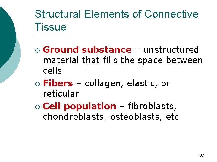 Structural Elements of Connective Tissue Ground substance – unstructured material that fills the space
