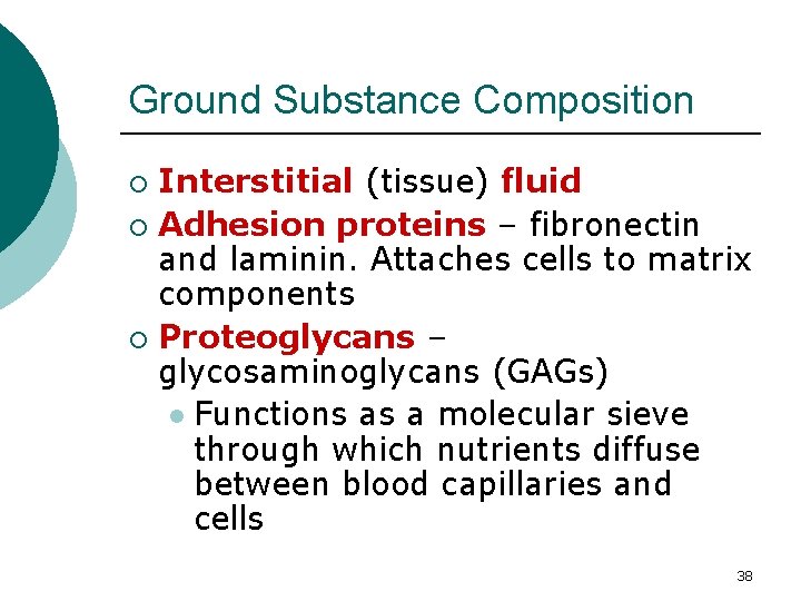 Ground Substance Composition Interstitial (tissue) fluid ¡ Adhesion proteins – fibronectin and laminin. Attaches