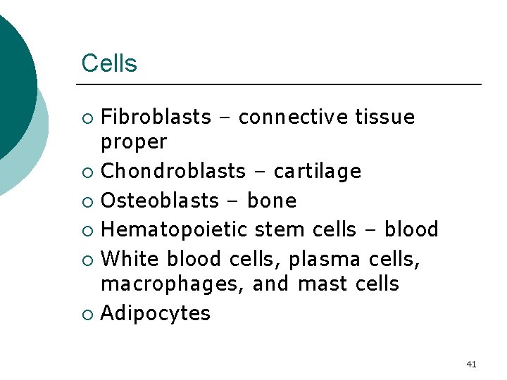 Cells Fibroblasts – connective tissue proper ¡ Chondroblasts – cartilage ¡ Osteoblasts – bone