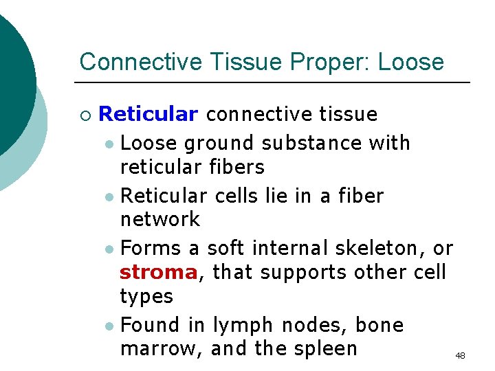 Connective Tissue Proper: Loose ¡ Reticular connective tissue l Loose ground substance with reticular