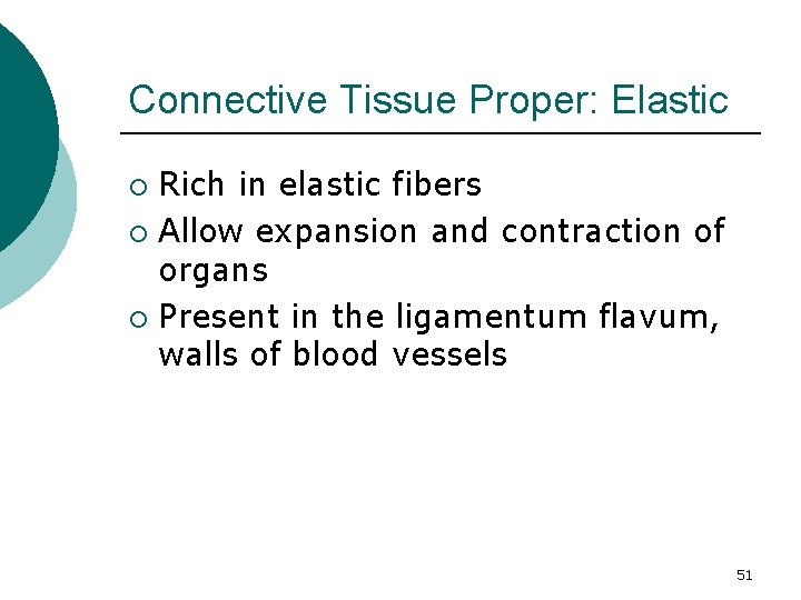 Connective Tissue Proper: Elastic Rich in elastic fibers ¡ Allow expansion and contraction of