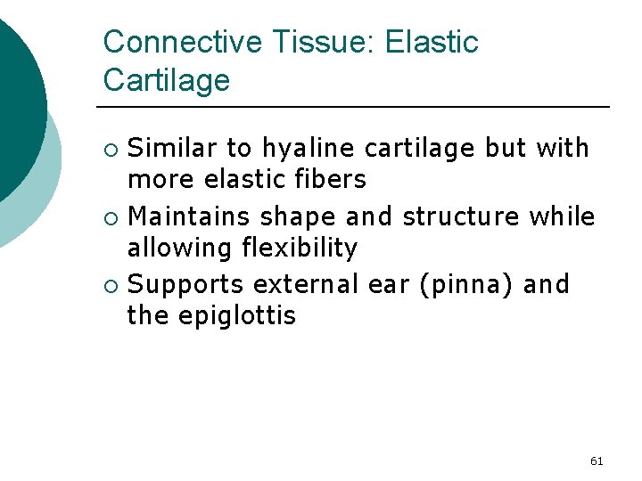Connective Tissue: Elastic Cartilage Similar to hyaline cartilage but with more elastic fibers ¡