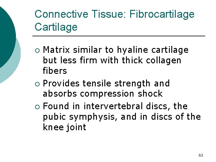 Connective Tissue: Fibrocartilage Cartilage Matrix similar to hyaline cartilage but less firm with thick