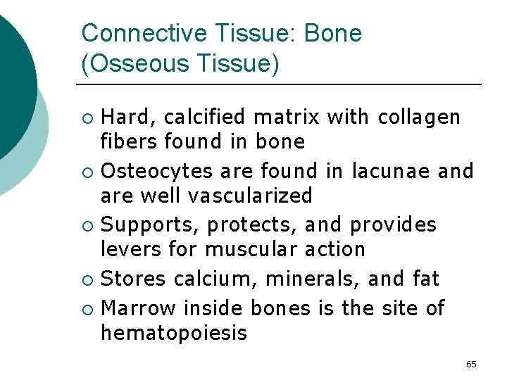 Connective Tissue: Bone (Osseous Tissue) Hard, calcified matrix with collagen fibers found in bone