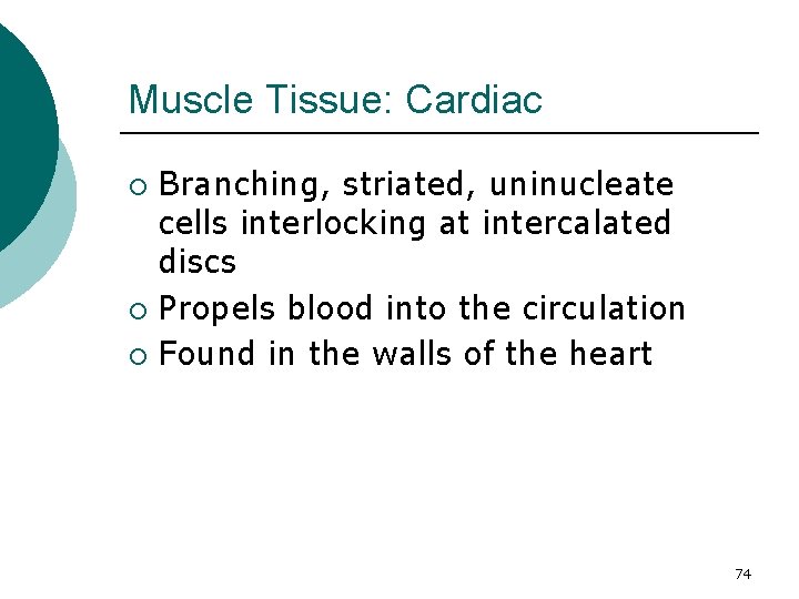 Muscle Tissue: Cardiac Branching, striated, uninucleate cells interlocking at intercalated discs ¡ Propels blood
