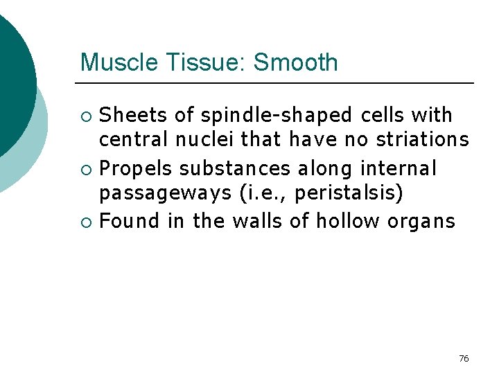 Muscle Tissue: Smooth Sheets of spindle-shaped cells with central nuclei that have no striations