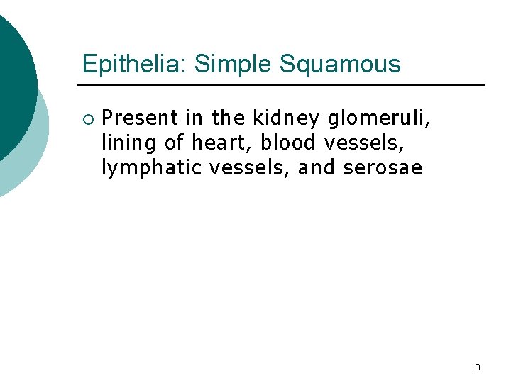 Epithelia: Simple Squamous ¡ Present in the kidney glomeruli, lining of heart, blood vessels,